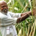 गन्ना किसानों के लिए बड़ा ऐलान, अब प्रति एकड़ मिलेंगे ₹5 हजार